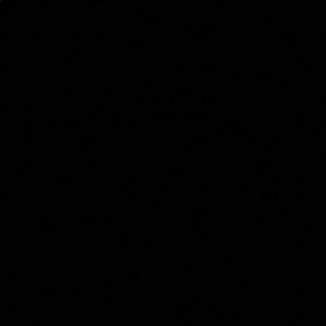 Meet your Posher, Sonia